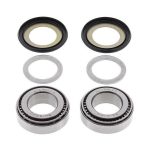 KIT RULMENTI DE JUG ALL BALLS RACING AB22-1057