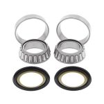 KIT RULMENTI DE JUG FURCA ALL BALLS RACING AB22-1061