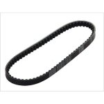 CUREA TRANSMISIE VARIATOR DAYCO