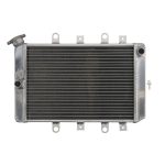 Radiator Racire ATV YAMAHA YFM 700 Grizzly 2007-2008 APA