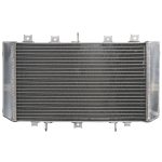 Radiator Racire MOTO KAWASAKI Z750 an 2004-2006 Apa 2005