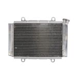 RADIATOR YAMAHA YFM YFZ 450 2004 2022
