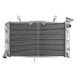 RADIATOR YAMAHA FZ1 1000 2006 2012