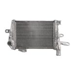 RADIATOR BMW R 1200 2013 2018