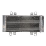 RADIATOR KAWASAKI EX 250 2009 2013