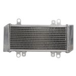 RADIATOR KAWASAKI EX 300 2013 2017