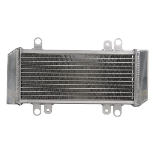 RADIATOR KAWASAKI EX 300 2013 2017