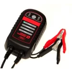 Redresor Baterie Auto Moto Atv 6/12v 4AMP Digital