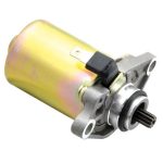 ELECTROMOTOR APRILIA COMPAY HABANA MOJITO SPORTCITY SR DERBI ATLANTIS BOULEVARD GP1 HUNTER PADDOCK PREDATOR SONAR VAMOS GILERA D.N.A ICE RUNNER RUNNER SP 25/50/100 1991-2013