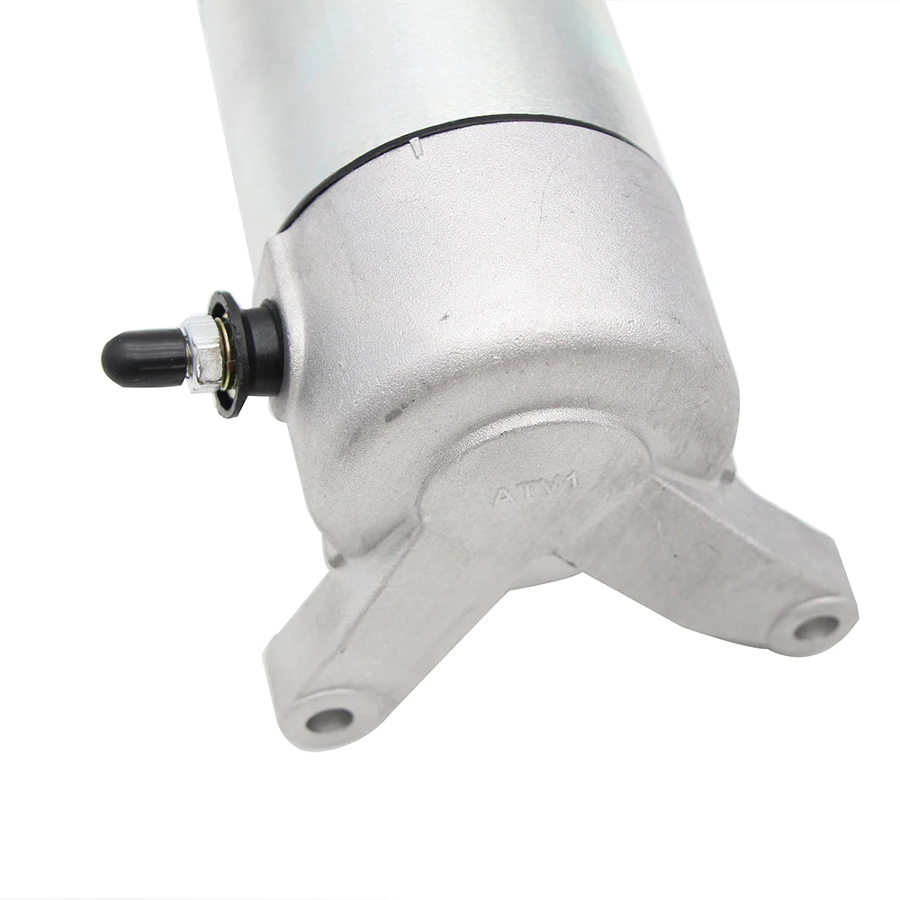 Electromotor Suzuki SV650 SFV650 VZ800 DL650 Cagiva Raptor