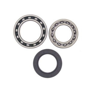 Kit Rulmenti Roata spate Yamaha YFM250 Big Bear All Balls 25-1010