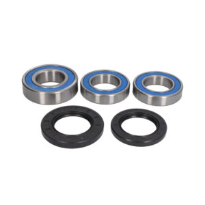 Kit Rulmenti Roata spate Honda RVF Suzuki GSXR Hayabusa 25-1039