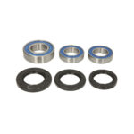 Kit Rulmenti Roata spate Suzuki Bandit Katana Hayabusa All Balls 25-1392