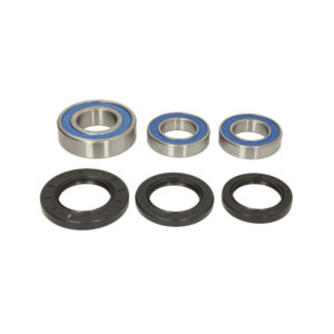 Kit Rulmenti Roata spate Suzuki Bandit Katana Hayabusa All Balls 25-1392