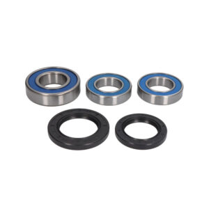 Kit Rulmenti Roata spate Yamaha TDM YZF XJR 25-1493