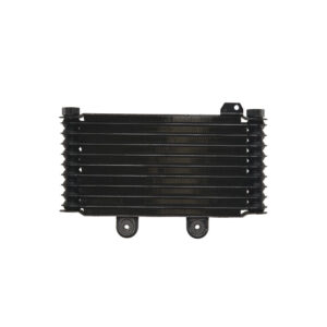Radiator SUZUKI GSF 600/650 1995-2006 Bandit ABS