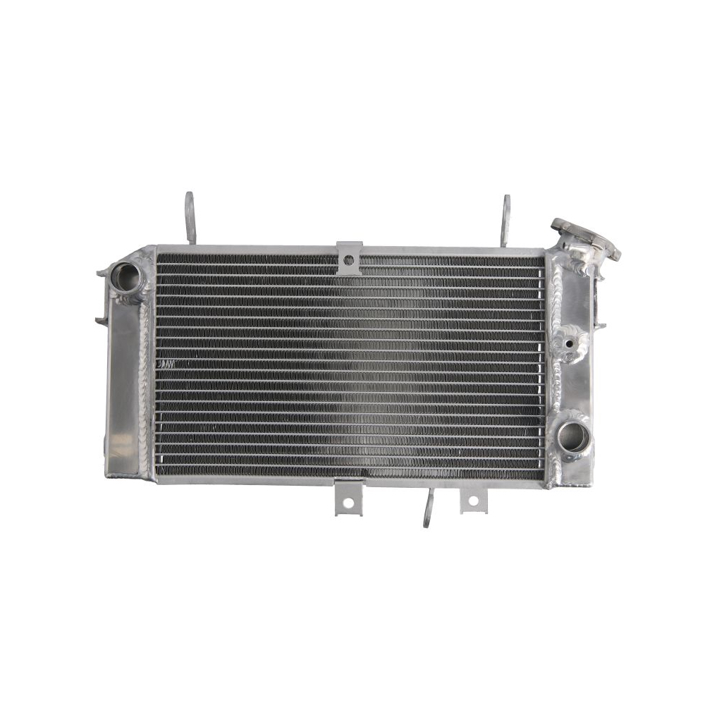 Radiator SUZUKI SFV 650 2009 2016 Gladius
