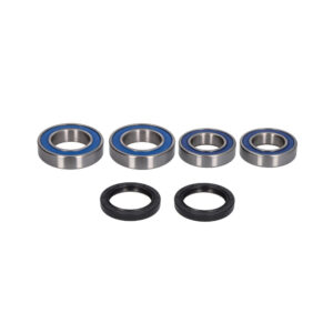 Kit Rulmenti Roata spate Ducati Panigale Monster Multistrada All Balls 25-1809