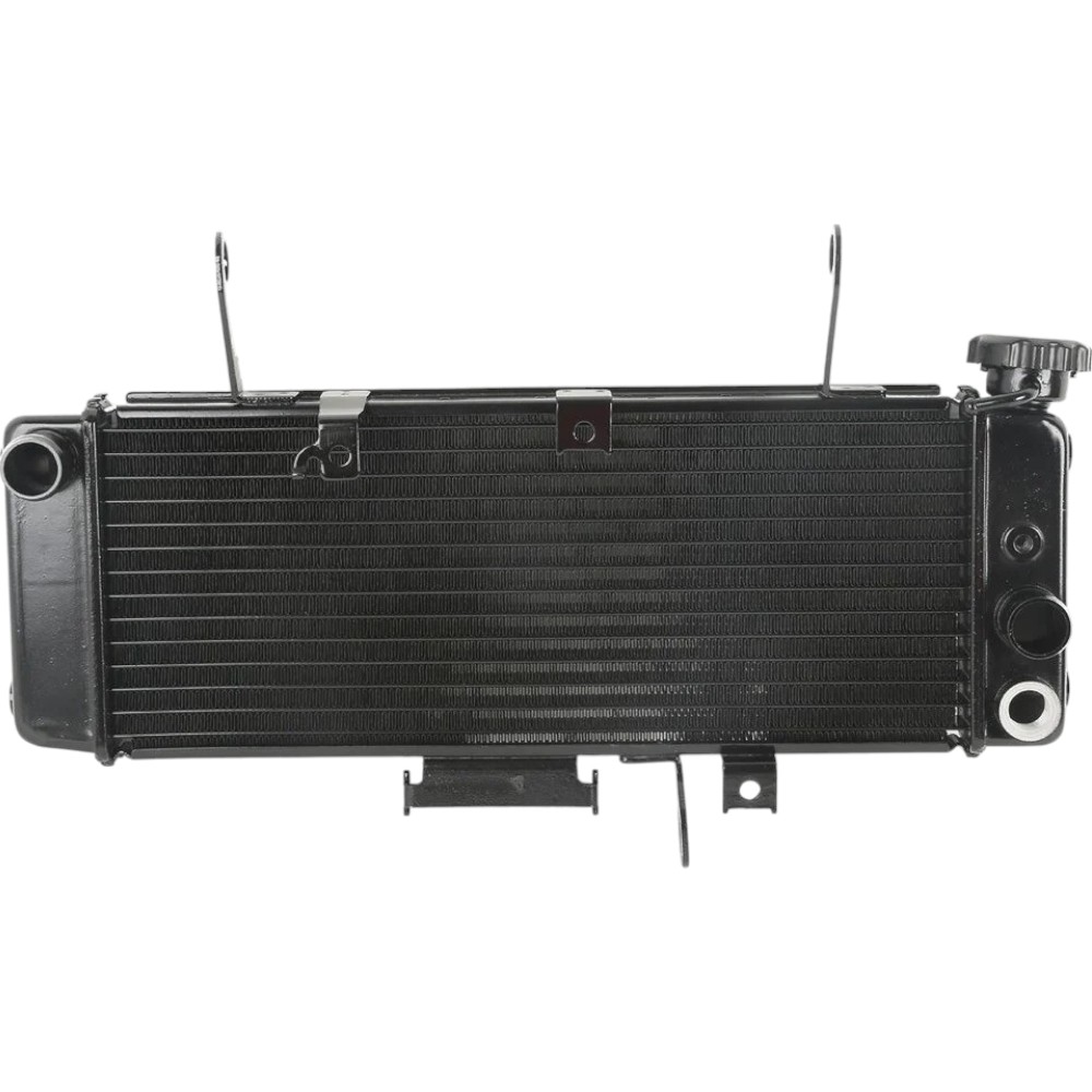Radiator Suzuki SV650 SV650S SV650A SV650SA 2003-2004
