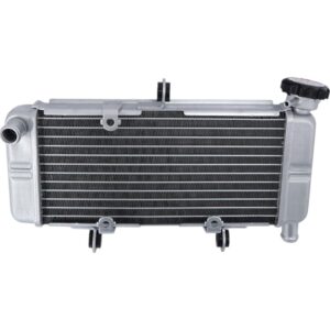 Radiator Honda CBR 250R CBR250R 2011-2022 ABS CB300F CBR300R 