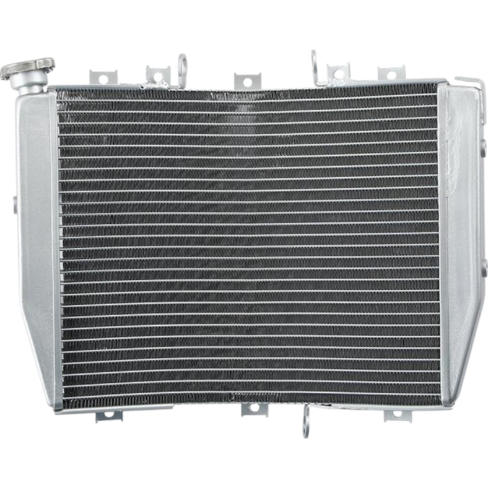 Radiator Kawasaki Ninja ZX10R 2004-2005