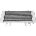 Radiator Kawasaki NINJA 300 2013-2017 ABS
