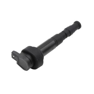 Bobina Inductie BMW F650GS F700GS F800GS F800GT F800R K1200GT K1200R K1300GT